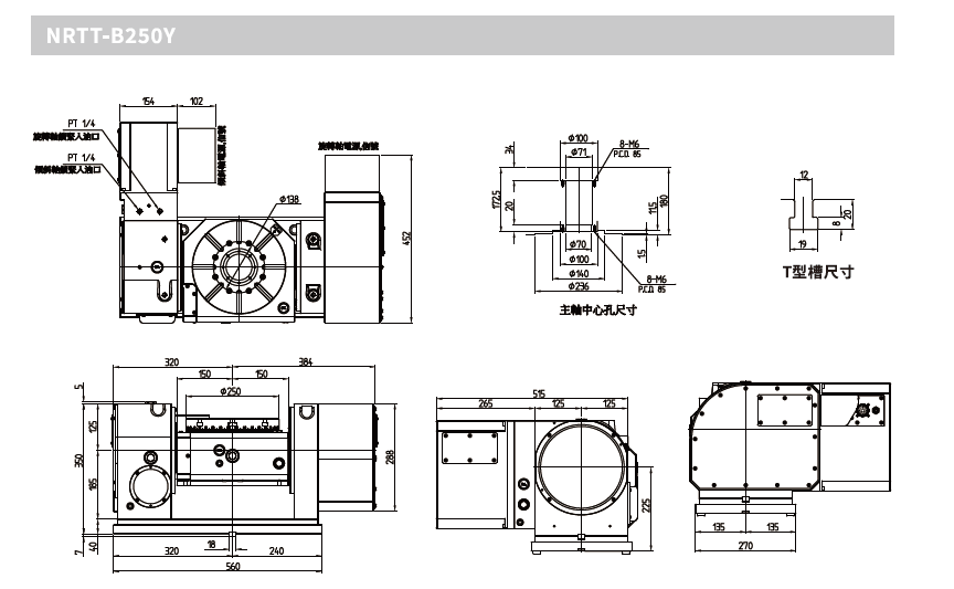 NRTT-B250
